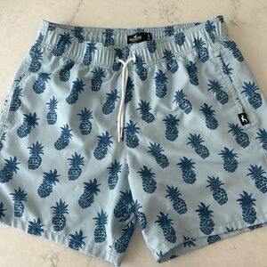 Hollister swim trucks